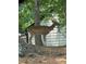 White-tailed deer in wooded area near home at 5224 Deering Trl, Marietta, GA 30068