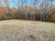 Large backyard with fenced perimeter and wooded area at 85 Hammock Dr, Covington, GA 30016