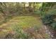 Overgrown backyard with grass and stone path at 10545 Ash Rill Dr, Alpharetta, GA 30022