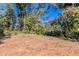 Wooded backyard offering privacy and seclusion at 4252 Lamar St, Decatur, GA 30035