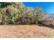 Large backyard with mature trees and open space at 4252 Lamar St, Decatur, GA 30035