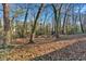 Wooded backyard with mature trees and leaf covered ground at 2080 Bluffton Way, Decatur, GA 30035