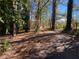 Long driveway leading to the house, surrounded by trees at 3955 Demooney Rd, Atlanta, GA 30349