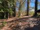 Long driveway leading to the house, surrounded by trees at 3955 Demooney Rd, Atlanta, GA 30349