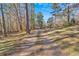 Long gravel driveway leading to a house in the woods at 157 Reynolds Rd, Bowdon, GA 30108
