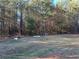 Private backyard bordered by a wooded area at 350 Chestnut Dr, Covington, GA 30016