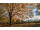 Open field with large tree and wooden fence in autumn at 1845 Branch Valley Dr, Roswell, GA 30076