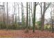 Wooded backyard behind the property line at 1841 Northwick Pl, Lithonia, GA 30058
