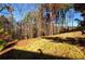 Spacious backyard with a mix of grass and trees at 1560 Tapestry Rdg, Lawrenceville, GA 30045