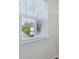 View from a window with blinds overlooking a residential street and homes at 100 Academy Ln, Canton, GA 30114