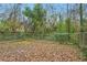 Spacious, fenced backyard surrounded by trees at 2259 Whites Mill Rd, Decatur, GA 30032