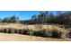 Community green space with tall grasses, trees, and a pond at 590 Plainfield St, Fayetteville, GA 30215