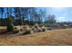 Landscaped common area in community at 590 Plainfield St, Fayetteville, GA 30215