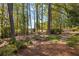 Stone steps leading through a wooded backyard at 730 Melanie Ct, Canton, GA 30115