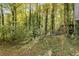 Wooded backyard with stairs leading to deck at 1496 Meadowlark Dr, Decatur, GA 30032