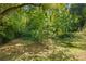 Wooded backyard providing a private and natural setting at 3530 Fairlane Nw Dr, Atlanta, GA 30331