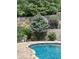 Inviting pool with a flowering tree, lush greenery, and a wooden fence providing privacy at 2034 Haydenbrook Nw Dr, Acworth, GA 30101