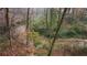 Wooded area alongside a scenic creek at 460 Springs End Ne Ln, Marietta, GA 30068