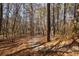 Wooded walking trail with a rustic bench at 9129 Selborne Ln, Chattahoochee Hills, GA 30268
