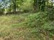 Overgrown backyard with a wooded area at 2385 Perkerson Sw Rd, Atlanta, GA 30315