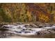 Scenic river flowing through an autumn forest at 2711 Greystone Ct, Austell, GA 30106
