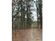 Peaceful wooded path meanders through the property at 359 Cornish Mtn Rd, Oxford, GA 30054