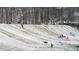 Community members sledding down a snow-covered hill at 120 Truehedge Trce, Roswell, GA 30076