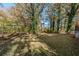 Large backyard with mature trees and lawn at 2126 River Rd, Ellenwood, GA 30294