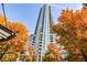 Modern high-rise building with glass balconies surrounded by colorful autumn trees at 855 Peachtree Ne St # 2412, Atlanta, GA 30308