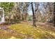 View of the backyard with moss, trees, and shrubs at 306 Hickory Pointe Ct, Villa Rica, GA 30180