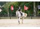 Horse and rider cantering in a riding arena at 531 S Main St # 330, Alpharetta, GA 30009