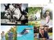 Community amenities at Wills Park, including horseback riding, biking, tennis, and swimming pool at 531 S Main St # 210, Alpharetta, GA 30009