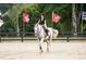 Horseback rider cantering in a riding arena at 531 S Main St # 210, Alpharetta, GA 30009