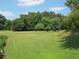 Open grassy yard with trees and a road in the background at 959 Romer Pl, Stone Mountain, GA 30083