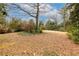 Spacious backyard with trees and fallen leaves at 750 Mount Vernon Hwy, Atlanta, GA 30327