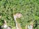 Spectacular aerial view of the property nestled among trees at 318 Dogwood Trce, Mcdonough, GA 30252