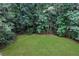 Private backyard with lush green grass surrounded by trees at 4378 Ridge Ct, Loganville, GA 30052