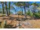 Partially wooded backyard with some clearing at 1933 Glen Echo Dr, Decatur, GA 30032