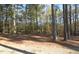 Wooded lot with some open space and road access at 14 Duval Ct, Villa Rica, GA 30180