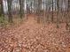 Wooded area with a path covered in fallen leaves at 1447 Upper Sweetwater Se Trl, White, GA 30184