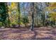 Wooded backyard with leaf covered ground at 2329 Meadowlane Sw Dr, Atlanta, GA 30311