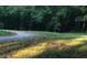 Gravel road leading through a wooded area at 6076 Belle Meade Dr, Villa Rica, GA 30180