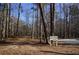 Nature's Walking Trail through a wooded area at 6076 Belle Meade Dr, Villa Rica, GA 30180