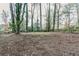 Backyard with mature trees and open space at 329 Mount Zion Sw Rd, Atlanta, GA 30354