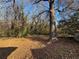 Spacious backyard with mature trees at 721 Yale Sw Pl, Atlanta, GA 30315
