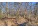 Small creek running through woods at 1060 River Cove Rd, Social Circle, GA 30025