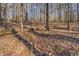 Wooded area with fallen logs and undergrowth at 1060 River Cove Rd, Social Circle, GA 30025