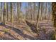 Wooded area with a small creek at 1060 River Cove Rd, Social Circle, GA 30025