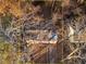 Aerial view of a house and yard with trees and driveway at 1743 Marcel Sw Ave, Atlanta, GA 30311