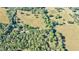 Aerial view of home on large lot with pasture at 1490 Lee Peters Rd, Loganville, GA 30052